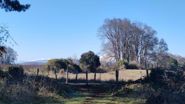 venta de terrenos en la araucania