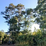 parcela de agrado en venta