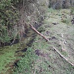 Parcela 4,6 Hás, Bajo Meco Lautaro.