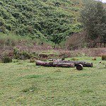 Parcela 7.416 M2, La Colonia Lautaro