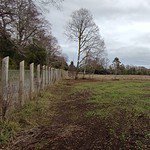 Parcela de agrado 5.000 M2, Lautaro