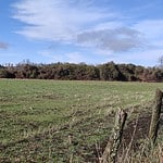 Parcela de 4,1 Ha. en Lautaro