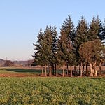 LOTEO ALTOS DE BILBAO