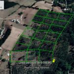 Parcelas 5.000 M2, Calle Brasil Lautaro