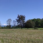 Parcela en venta ruta internacional camino Lautaro - Curacautín