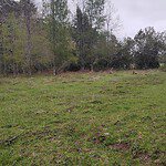 Parcela en venta en Licanray | Parcelas en venta | Araucania