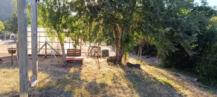 parcela 5.000 m2, con casa en la colonia, lautaro