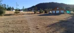 parcela 5.000 m2, con casa en la colonia, lautaro