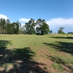 Parcela de 5000 metros cuadrados en venta