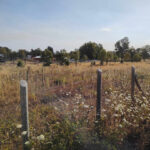 Invierte en Tranquilidad: Parcela de 5.000 m² en Loteo La Rosa, a un Precio Único