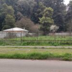 sitio en venta en Lautaro