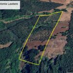 parcelas en venta Araucania