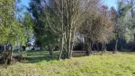Parcela en venta en Padre Las Casas