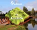 comuna de lautaro region de la araucania