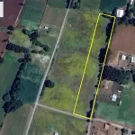 Parcela en venta en Perquenco con árboles nativos y suelo trumao