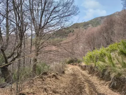 parcelas en venta en Curacautín