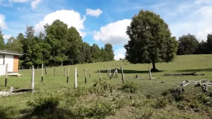 venta de parcela en Lautaro, borde de río sector las minas