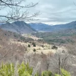 Parcelas de 5.000 m² en Curacautín con Vista al Volcán Lonquimay