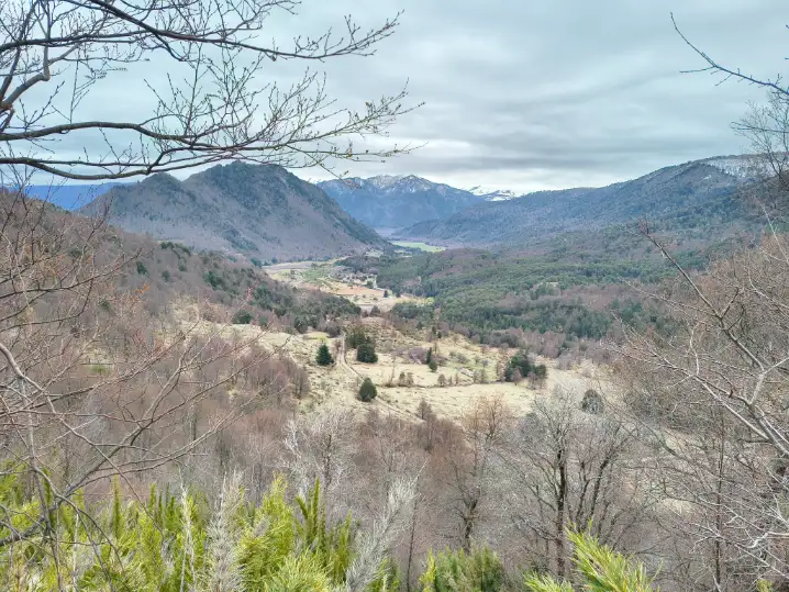 parcelas 5000m2 Curacautin Tunel las raices 3