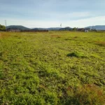 hermosa parcela viejo roble Lautaro en venta