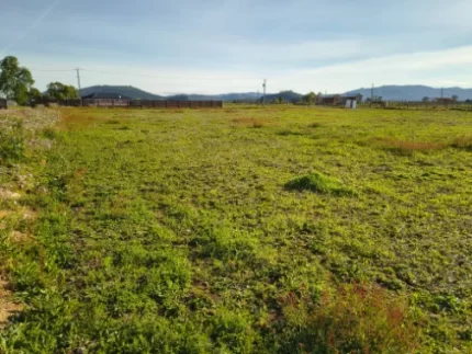 hermosa parcela viejo roble Lautaro en venta