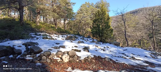 Parcela en Chillán con vista al volcán