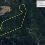 parcela forestal en Lautaro