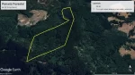 parcela forestal en Lautaro