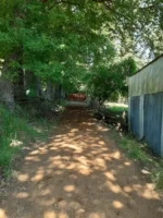 Fuente de Ingresos: Parcela Agroecológica en Cunco - 6,48 Há. con Agua Abundante - Imagen 12