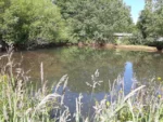 Fuente de Ingresos: Parcela Agroecológica en Cunco - 6,48 Há. con Agua Abundante - Imagen 20