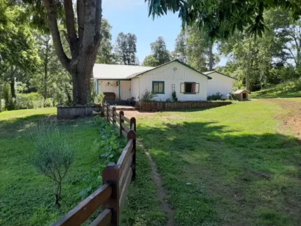 Parcela agroecológica en Cunco con casa, cabaña, plantaciones y sistema de riego incluido
