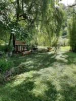 Parcela agroecológica en Cunco con casa, cabaña, plantaciones y sistema de riego incluido