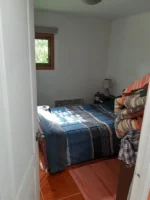 Fuente de Ingresos: Parcela Agroecológica en Cunco - 6,48 Há. con Agua Abundante - Imagen 23