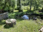 Fuente de Ingresos: Parcela Agroecológica en Cunco - 6,48 Há. con Agua Abundante - Imagen 6