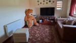 Exclusivo Hogar Soñado: Casa Rural en Temuco con Piscina - 300 m² - Imagen 17
