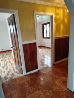 Exclusiva Fuente de Ingresos: Propiedad Comercial en Lautaro - 437 m² - Imagen 13
