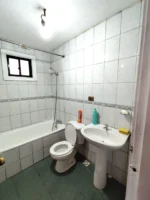 Exclusiva Fuente de Ingresos: Propiedad Comercial en Lautaro - 437 m² - Imagen 20