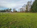 Inversión con Retorno: 2 Parcelas en Camino a Quillem, Lautaro - 5.000 m² c/u - Imagen 4