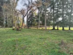 Inversión con Retorno: 2 Parcelas en Camino a Quillem, Lautaro - 5.000 m² c/u - Imagen 5