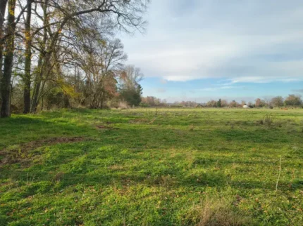 Parcelas en camino a Quillem Lautaro de 5000 metros cuadrados cerca del río Cautín con factibilidad eléctrica