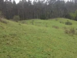 Entorno Privilegiado: Parcela en La Colonia, Lautaro - 5.000 m² con Naturaleza - Imagen 5