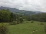 Entorno Privilegiado: Parcela en La Colonia, Lautaro - 5.000 m² con Naturaleza - Imagen 6