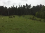 Entorno Privilegiado: Parcela en La Colonia, Lautaro - 5.000 m² con Naturaleza - Imagen 8