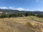 Entorno Privilegiado: Parcela en La Colonia, Lautaro - 5.000 m² con Naturaleza - Imagen 9