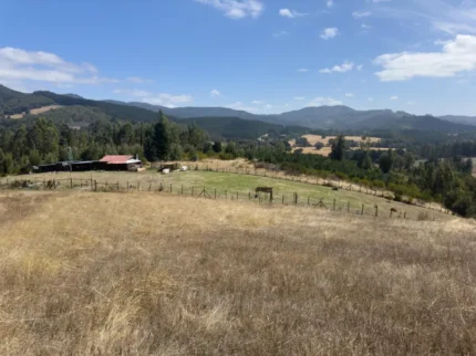 Parcela en La Colonia Lautaro con acceso asfaltado y entorno natural
