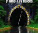 Parcelas en Curacautín y Túnel Las Raíces
