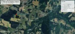 Excelente Inversión: Parcelas Forestales en Lautaro - 14 Hás con Eucalyptus - Imagen 2