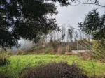 Casas en Venta en Lautaro - 6 Unidades en Terreno de 2.632 m² - Imagen 2