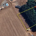 Parcela en Lautaro con plantación de pino radiata en el sector La Colonia