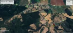 Inversión: Parcela en Lautaro con Plantación de Pino - 5.000 m² - Imagen 3
